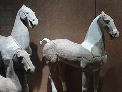 -烟台市博物馆