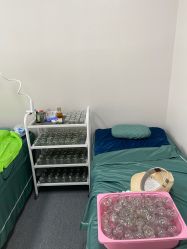 -苗塑堂减肥·艾灸