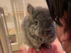 -龙猫仔乐园(惠福东路店)