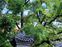 -莲湖公园