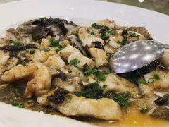 冬菜蒸多宝鱼-新梅园不夜粥(龙华店)