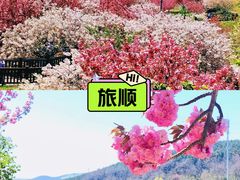 -旅顺博物馆