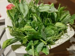 独家限定蔬菜豆苗-海底捞火锅(江宸天街店)