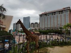 -灵玲国际马戏城