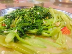 椒丝腐乳通菜-禄源公·老莞诚饭店