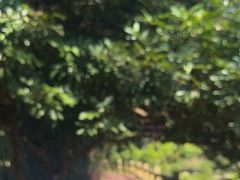-四会奇石河风景区