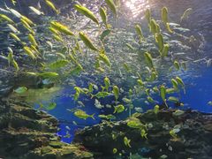 -海合安成都极地海洋公园