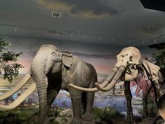 -湖南省地质博物馆