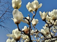 -中国人民抗日战争纪念雕塑园