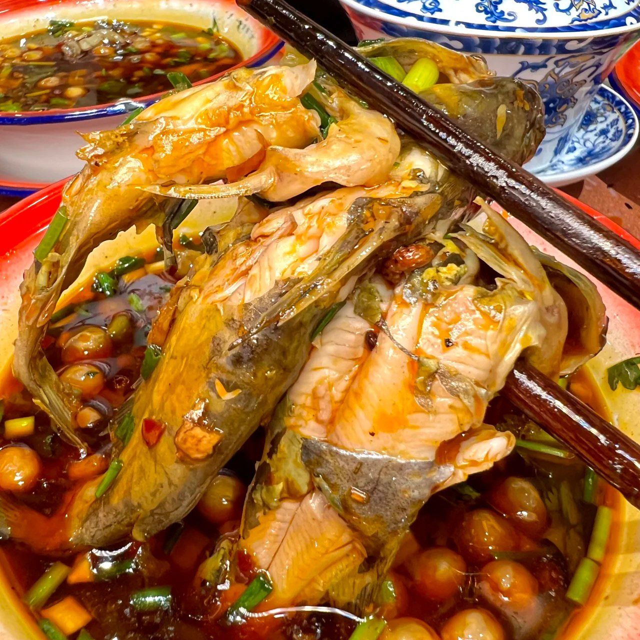 0元玩转这座城已经吃了无数次的黄辣丁鱼