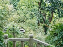 -乌山风景区