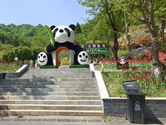 -栾川竹海野生动物园