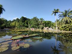 -中国科学院西双版纳热带植物园
