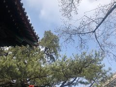 -红螺寺