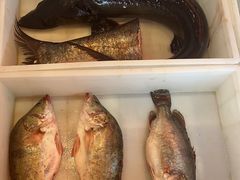 -江湖水乡铁锅炖魚(周庄嘉园店)