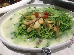 -石头咕(葵蓬店)