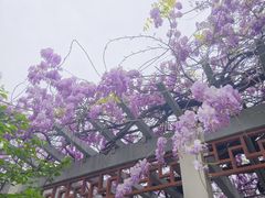 -郑和公园