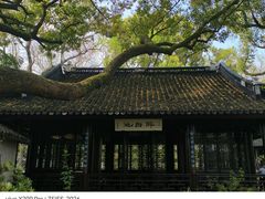 -上海醉白池公园