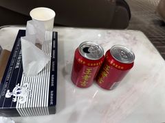 -桃仙机场头等舱休息室
