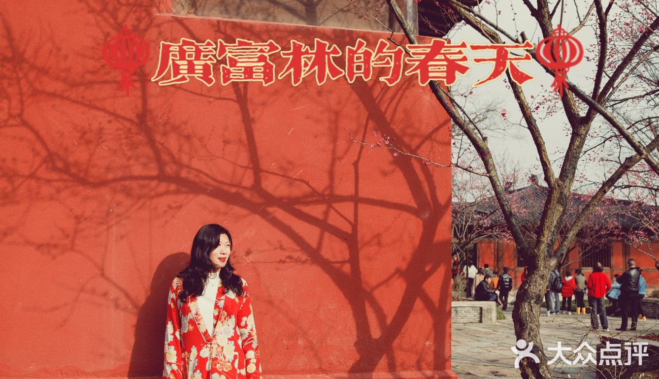 魔都小京都—广富林的春景已到最佳观赏期
