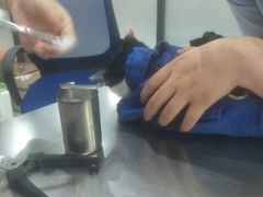 -瑞派名望志远动物医院·猫科·內科·异宠专科(直港大道店)