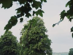 -查茨沃斯庄园