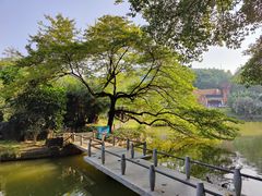 -广州雕塑公园