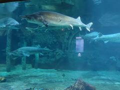 -华夏文旅海洋公园