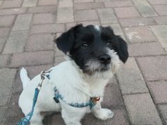 -天虹国际大酒店-停车场