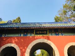 -灵谷景区