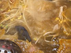 -黔三一夺夺粉酸汤火锅(百信店)