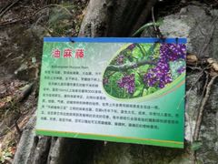 -岳西天峡风景区