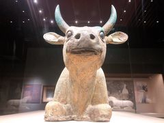 -宁夏博物馆