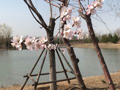 -东郊湿地公园