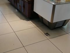 面包甜点陈列柜-美丽年华(西街店)