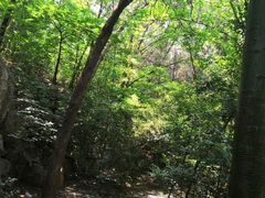 -云龙山