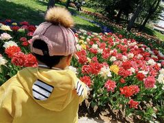 -石家庄市植物园