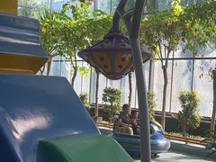 -南宫五洲植物乐园