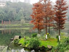 -重庆彩云湖湿地公园