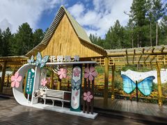 -莫尔道嘎国家森林公园