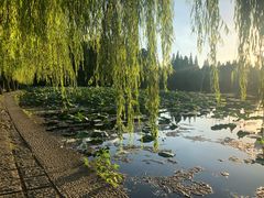 -西湖外事游船(花港观鱼码头)