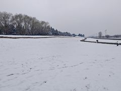-秦始皇帝陵博物院-丽山园