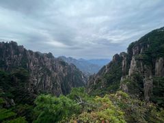 -黄山风景区