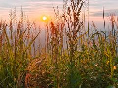 -萍乡武功山风景名胜区