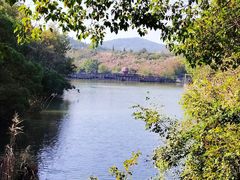 -白马涧龙池景区