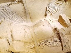 -洛阳周王城天子驾六博物馆