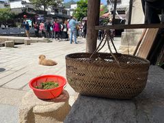 -绩溪龙川景区