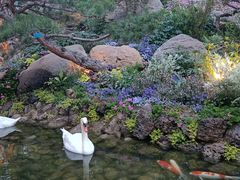 -罗红摄影艺术馆