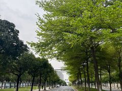 -南沙蒲洲花园