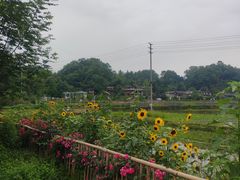 -雅安上里古镇